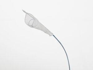 Embolic Protection Device